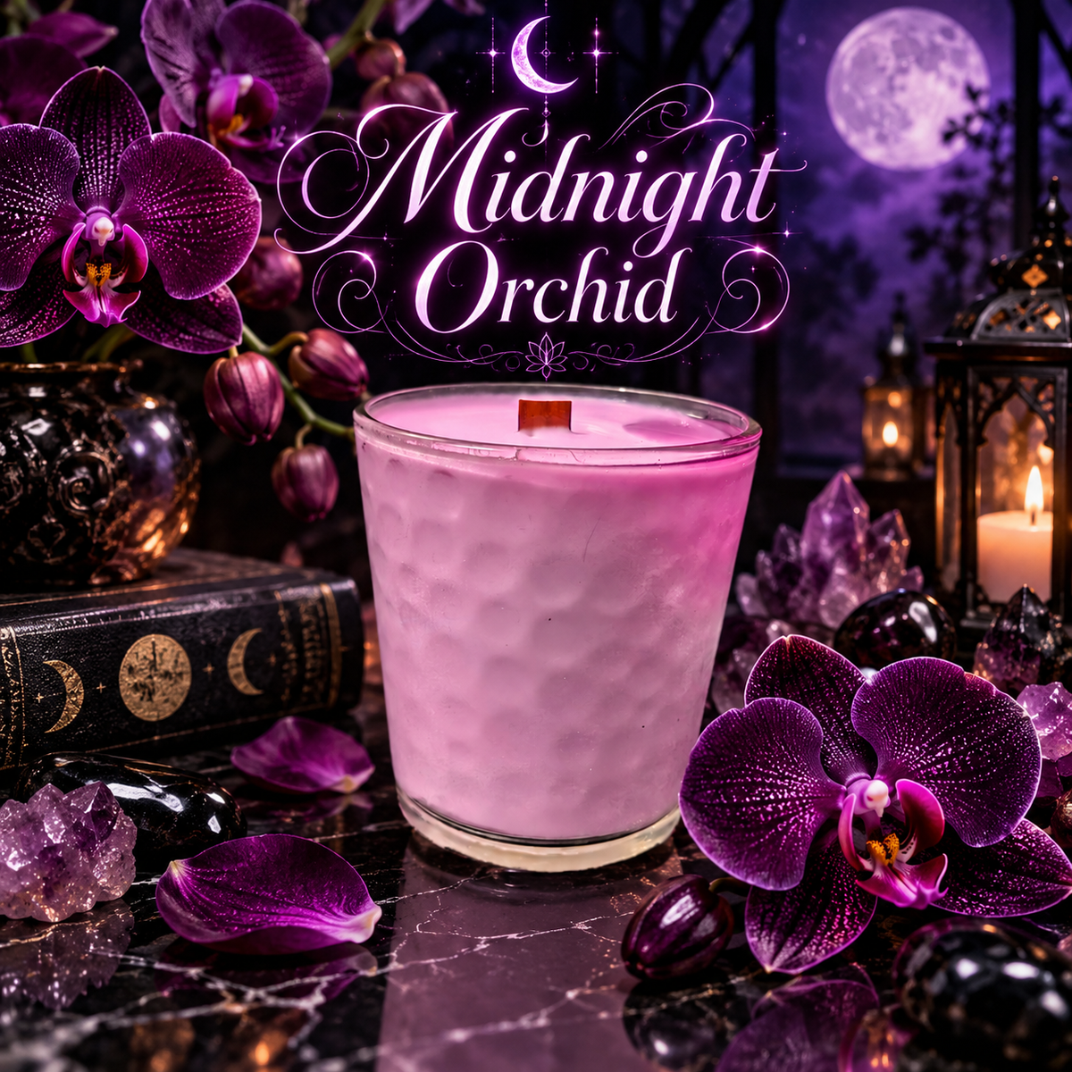 Midnight Orchid