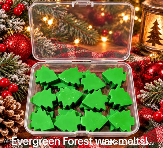 Evergreen Forest